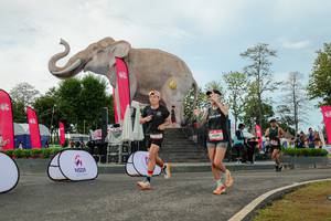 BIB: 
                            <button type="button" onclick="openModal(26529017)" class="btn btn-primary btn-sm float-right btn-popup" data-toggle="modal" data-target=".modal-high-quality">
                        <i class="fas fa-shopping-cart"></i> Add to Cart
                    </button>
                                            <button type="button" onclick="isThisMe(26529017, true)" class="btn btn-success btn-sm float-right btn-popup btn-isme hidden" data-toggle="tooltip" data-placement="bottom" title="นี่คือรูปของคุณใช่ไหม คลิกที่นี่เพื่อเอาเข้าอัลบั้ม">
                        <i class="fas fa-plus"></i> Add to album
                    </button>
                    <button type="button" onclick="isThisMe(26529017, false)" class="btn btn-warning btn-sm float-right btn-popup btn-isnotme hidden">
                        <i class="fas fa-ban"></i> Remove from album
                    </button>